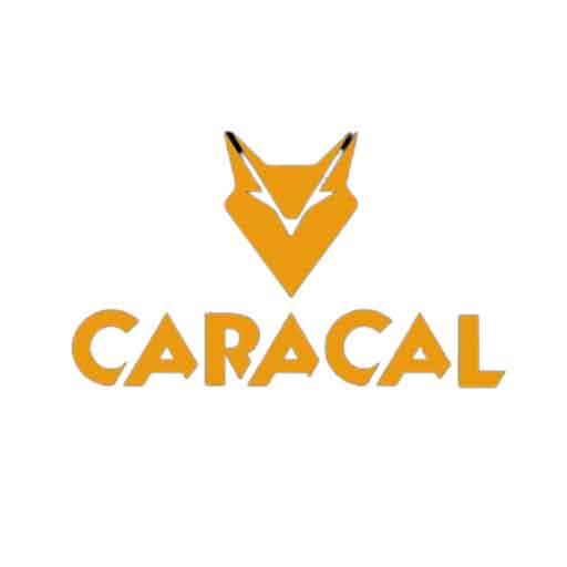 کاراکال / CARACAL