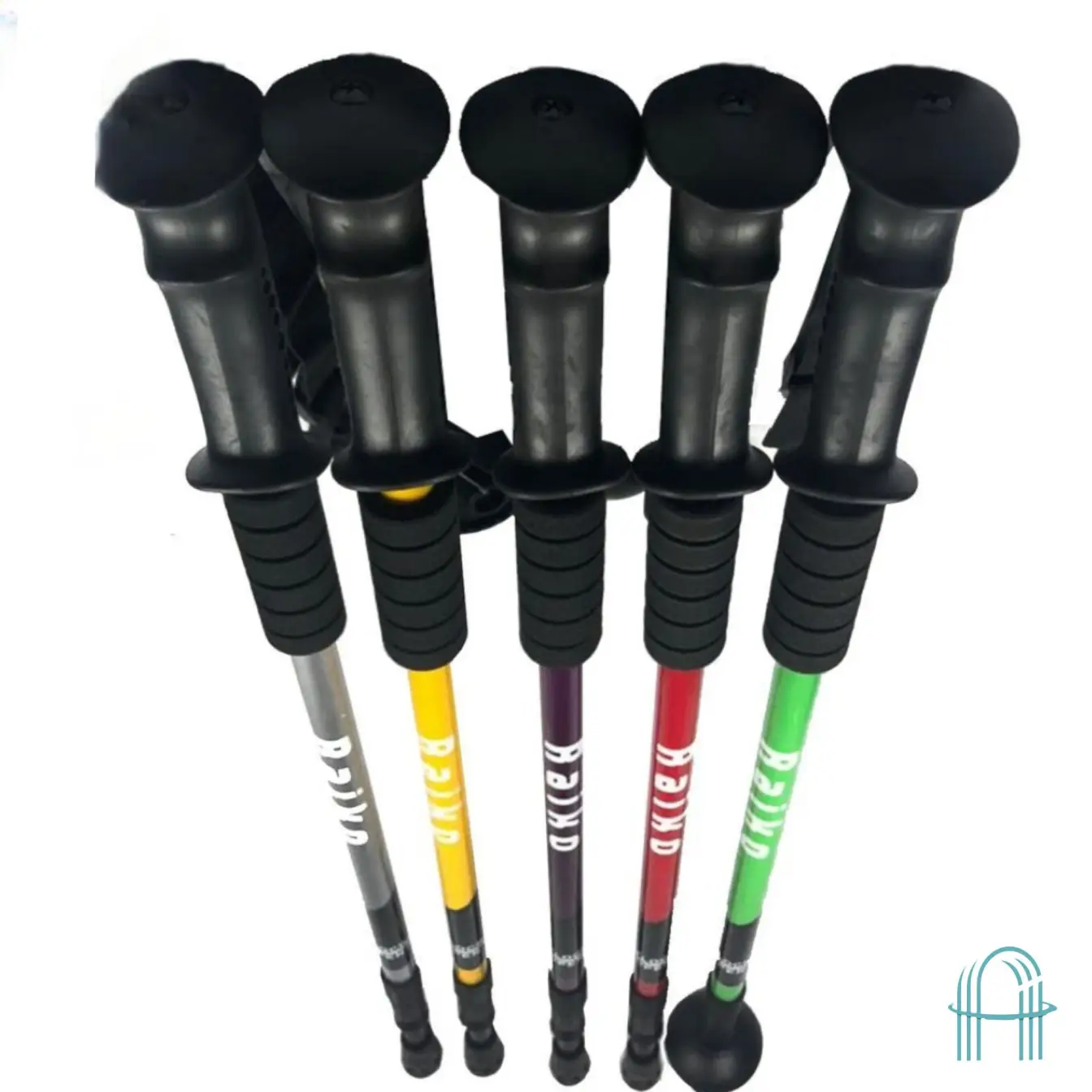 عصای کوهنوردی رایکو آنتی شک دار مدل Raico FAS-001